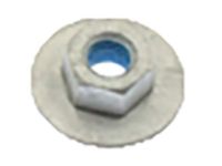 GM 15685170 Reservoir Tank Nut