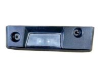 GM 84238354 Cargo Lamp, Driver Side