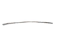 GM 25961908 Strip Molding, Front, Rubber
