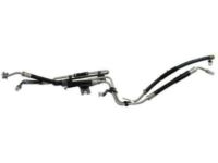 GM 20934199 Hose & Tube Assembly