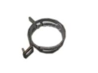 GM 11083891 Clamp, Intake Manifold