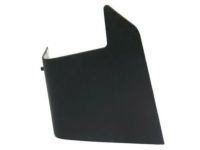 GM 15906821 Side Trim, Passenger Side