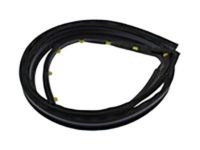 GM 20816083 Drip Weatherstrip, Front Driver Side