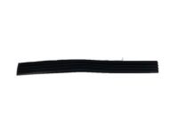 GM 15740121 Body Side Molding, Black, Rear Passenger Side