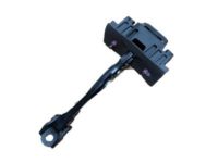 GM 22792600 Door Check, Front