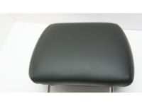 GM 20998441 Headrest, Driver Side