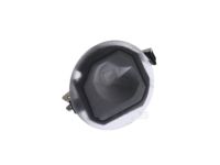 GM 22919741 Puddle Lamp, Rear Driver Side
