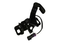 GM 84066068 Lock