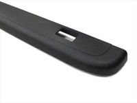 GM 15932237 Body Side Molding, Upper Driver Side