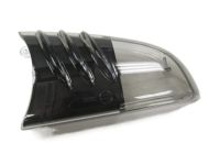 GM 19120869 Lens, Driver Side