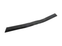 GM 12335676 Molding, Passenger Side