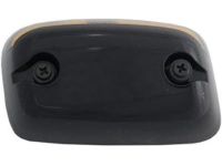 GM 22956990 Roof Lamp Assembly, Outer Passenger Side