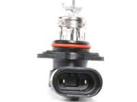 GM 13589425 Headlamp Bulb