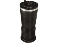 GM 15938306 Air Spring, Rear