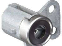 GM 15822396 Lock Cylinder, Front Driver Side