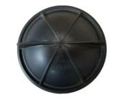 GM 22860323 Access Cover