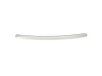 GM 10385156 Front Molding