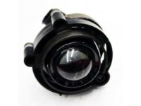 GM 10335108 Fog Lamp, Red Line, Front