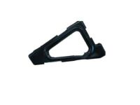 GM 10109668 Grille Support, Front Passenger Side