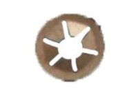 GM 10402850 Lower Baffle Retainer Nut