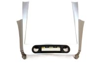 GM 20989772 Center Bezel, Titanium