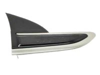 GM 23282942 Upper Molding, Front Passenger Side