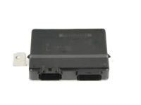 GM 12590009 Module, Emission Control System