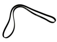 GM 19244951 Drive Belt