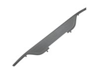 GM 15152671 Step Pad, Rear Center