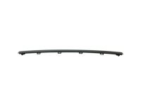 GM 23475983 Center Molding, Black