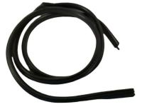 GM 25977403 Door Weatherstrip, Front Passenger Side