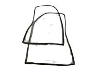 GM 22888212 Weatherstrip, Driver Side