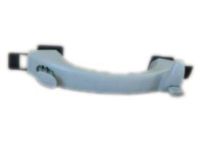 GM 15771428 Assist Strap, Driver Side