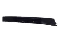 GM 21172101 Applique, Driver Side