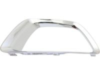 GM 22925739 Molding, Passenger Side