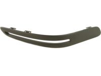 GM 10430946 Molding, Passenger Side