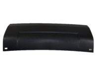 GM 20982430 Insert