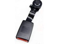 GM 19301276 Center Buckle, Driver Side