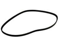 GM 19172681 Serpentine Belt