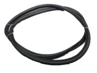 GM 95021340 Door Weatherstrip