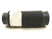 GM 21992520 Dust Shield, Green Line