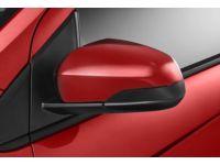 GM 42421299 Mirror Kit, Inside/Outside Rear View, Red