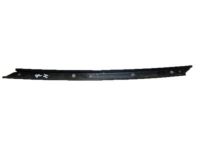 GM 14049244 Weatherstrip Retainer, Front Passenger Side