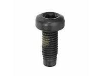 GM 11611776 Tensioner Bolt