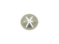 GM 10042521 Engine Cover Retainer Nut
