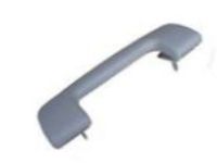 GM 95025625 Grip Handle, Titanium