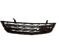 GM 20983791 Lower Grille, Black