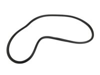 GM 20993866 Weatherstrip On Body
