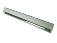 GM 16614987 Reveal Molding, Rear Driver Side