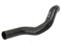 GM 25666930 Lower Hose